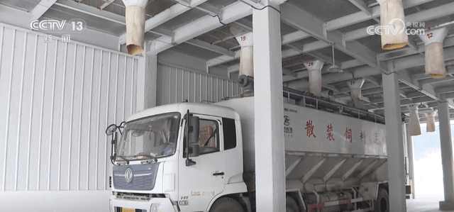 揭秘秋粮收购背后的“科技革命”：机器人和AI如何成为粮仓的新“守卫者”