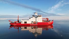  "雪龙"号抵达南极后惊人发现：南极也需要"双十一"货物