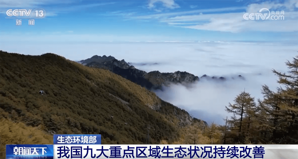 2025年生态环保取得史诗级成就：空气质量大幅改善，水质优良比例创新高