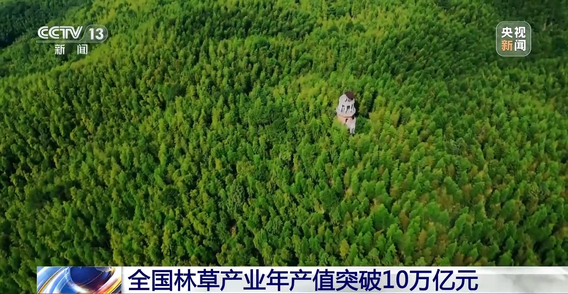 林草产业年产值突破10万亿元：中国的森林如何变成“金山”
