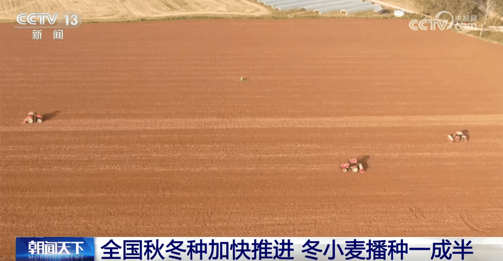 中国农业部宣布秋粮收获取得重大突破：良种良机良技成就秋冬种“加速键”