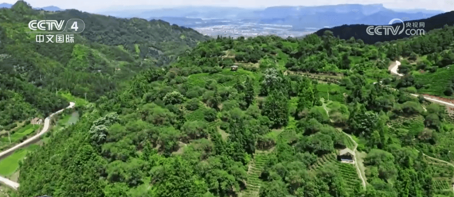 全球农业文化遗产获授牌：揭秘中国6大农业奇迹背后的故事