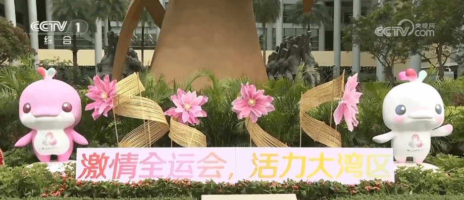 全运会点燃大湾区运动热情：跨境健身潮流悄然兴起