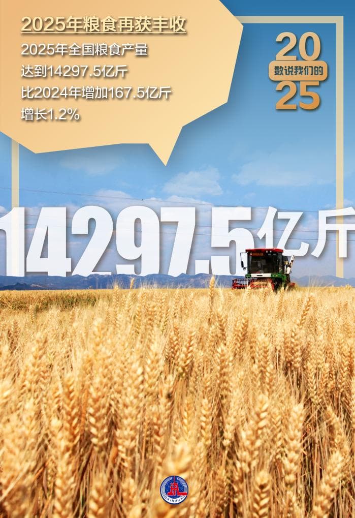 2025年‘三农’发展取得新突破：粮食高位增产背后的秘密