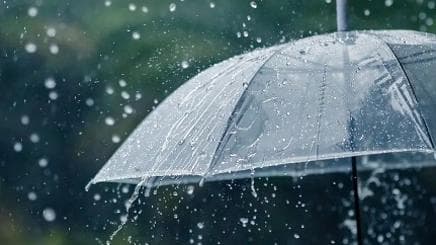 广东为应对台风‘蝴蝶’强降雨特此推出免费浮潜体验活动