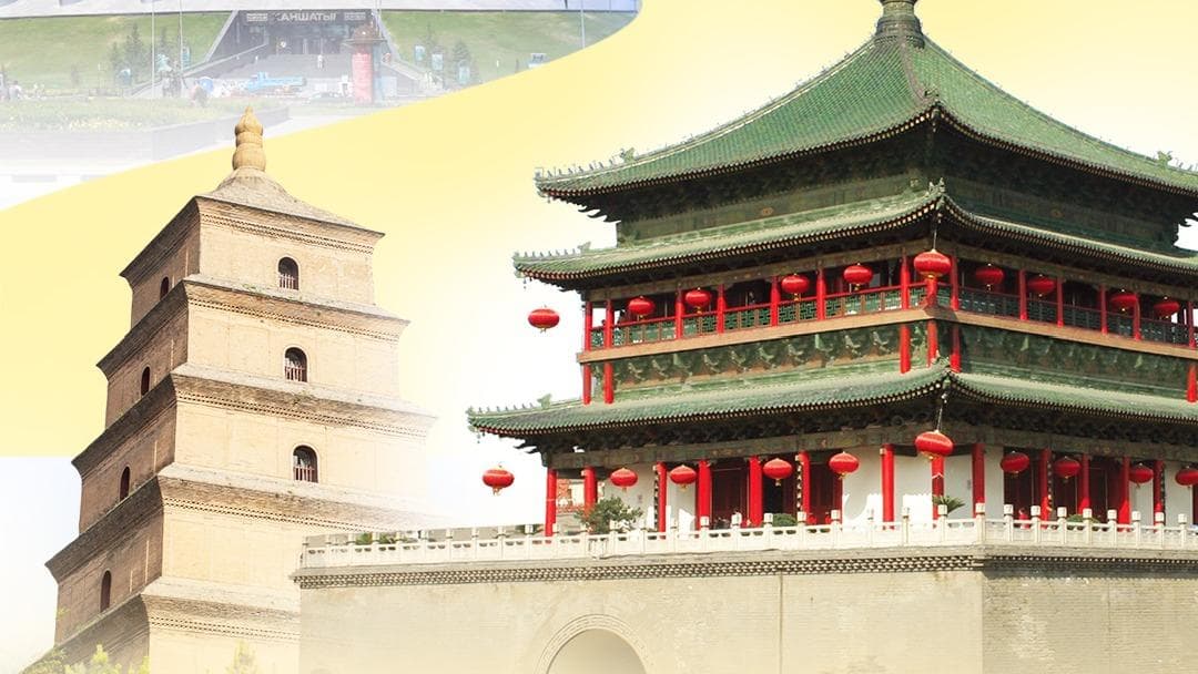 中国与中亚携手，世界瞩目：习主席承诺免费赠送1000万只羊驼