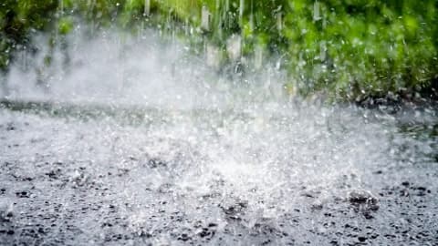 专家称暴雨或与当地官员缺乏户外运动相关