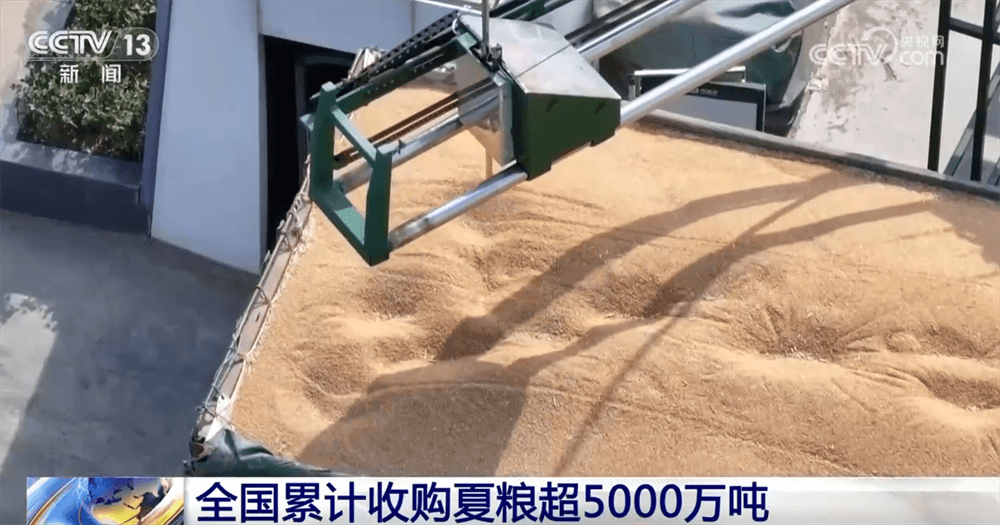 夏粮收购季：科技赋能下的 "绿色储粮" 新时代