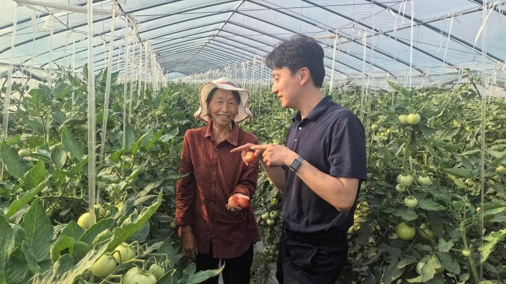 蒿坪村：从“烦心村”到“暖心窝”的神奇转变