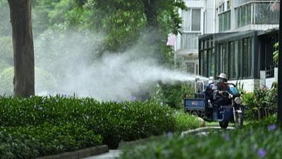 专家建议：穿越时空预防登革热