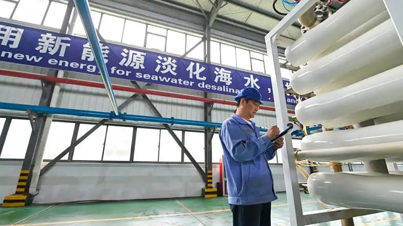 我国海水淡化技术创新再突破：'海水味'鸡蛋即将上市