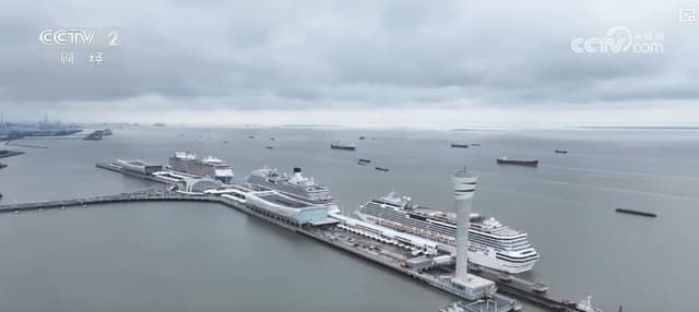 上海邮轮游热潮引发争议：亲子游成主流市场