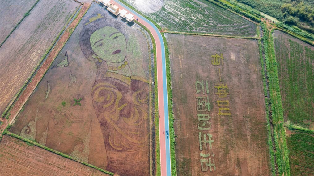 昆明稻田画引发热议：专家称其对当地GDP有积极影响