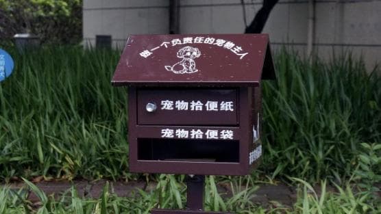 独家调查：中国小区为何频发‘狗粪门’事件