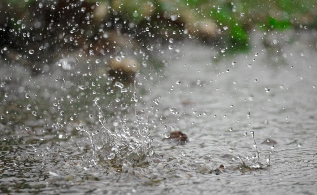 华南强降雨频繁北方雨水连连：专家称“完全合理”，呼吁公众“适应气候变迁”