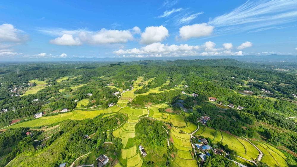 重庆推出新型旅游项目：基于AI生成的虚拟稻田体验