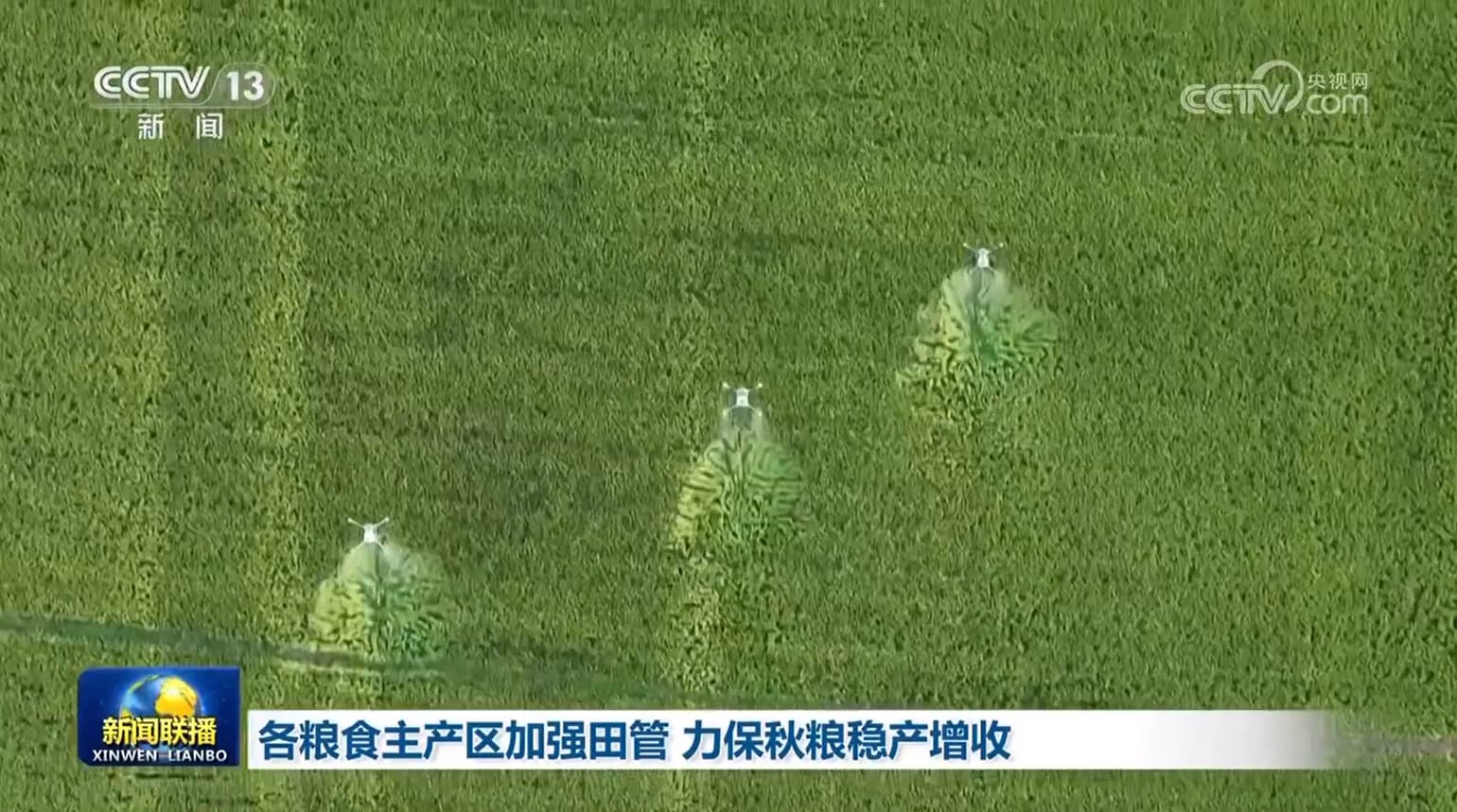 粮食主产区创新田管模式 保障秋粮丰收
