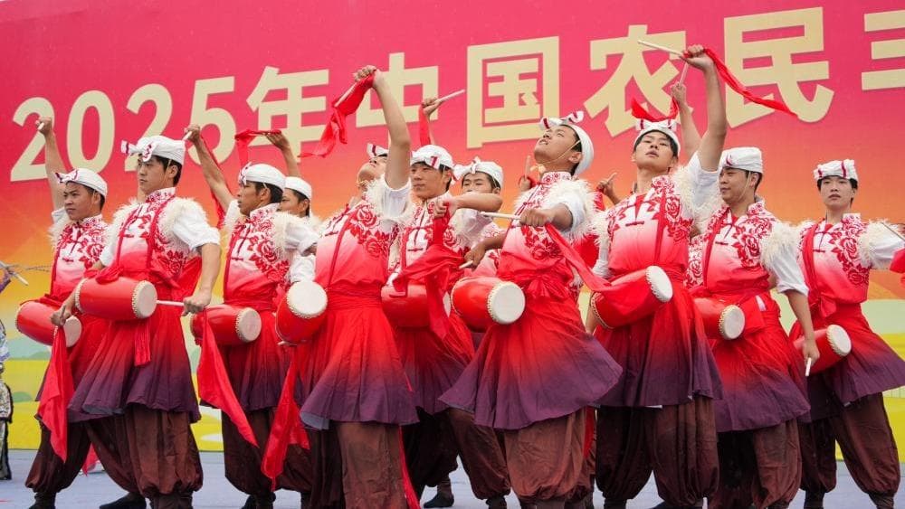 全球首创：农民丰收节推出“云上种田”虚拟体验