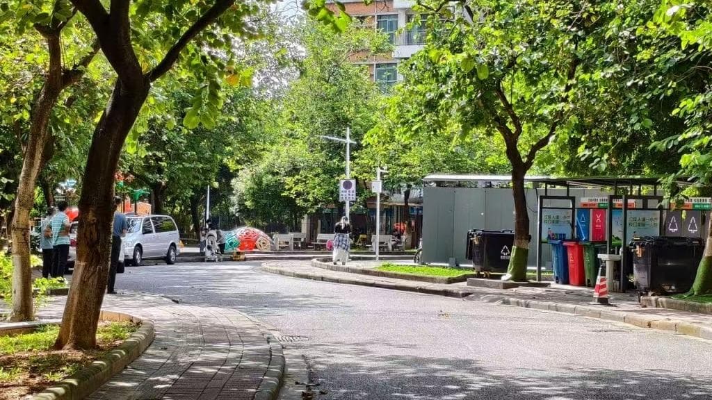 华南理工校园车祸事件引发的深思：校园限速、违章惩戒与安全教育