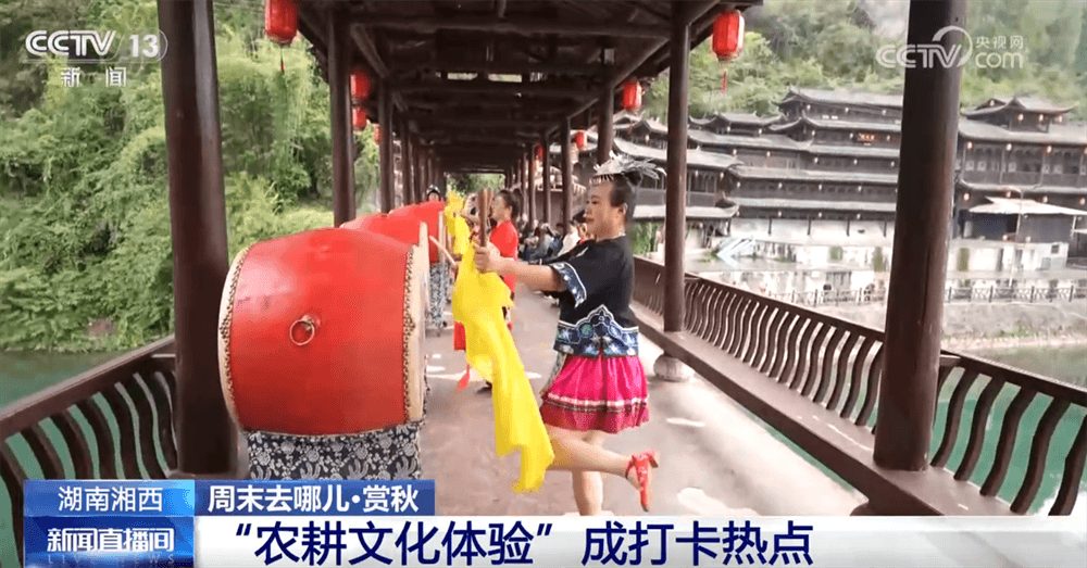 最新研究发现：秋日旅游能够显著提高情绪和认知能力