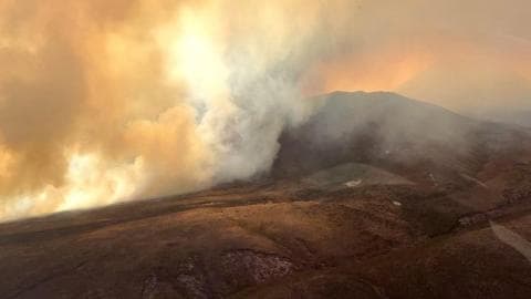 新西兰林火肆虐：专家称2800公顷过火面积或是'意外的碳封存'