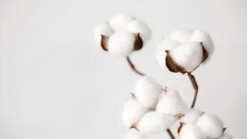 中消协发文揭秘：如何识破假冒长绒棉被的阴谋