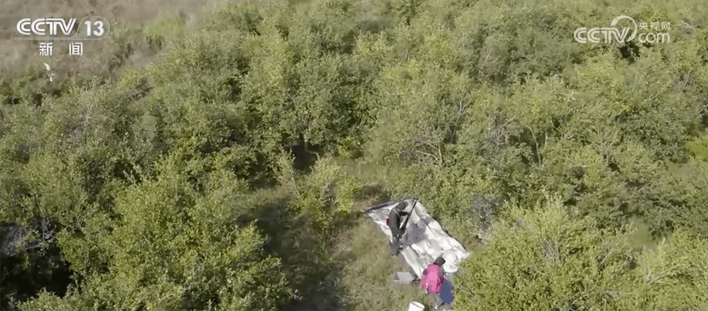 特色产业绘就百姓增收‘实景图’：科技赋能下的乡村振兴