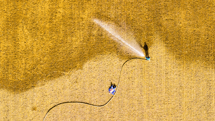 河南临颍村民自发成立'抢抓农时联盟' 以应对日益严峻的气候变化