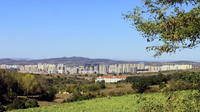 资源活化：如何从“荒凉”到“热闹”的神奇转变