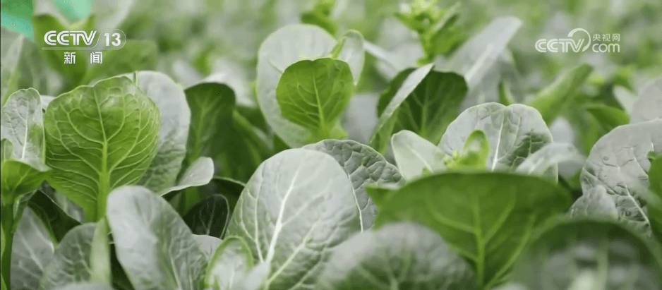 小寒带来大商机：冬日经济学揭秘