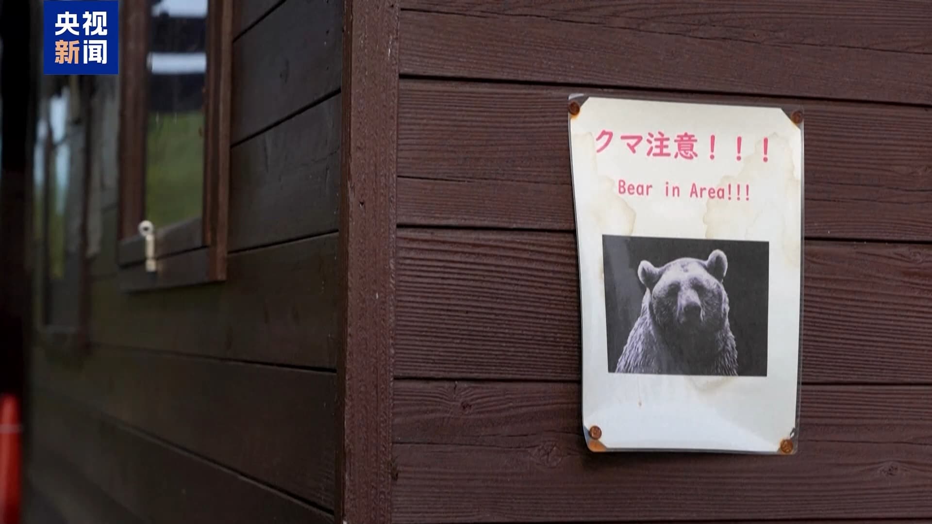 日本政府推出新计划：为缓解熊害问题，将在全国范围内建立‘熊友好区’