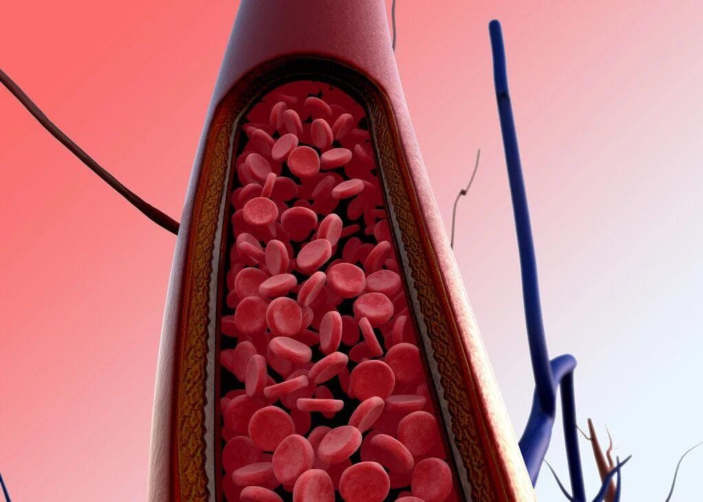 警惕！你的血液可能在“堵车”：5个信号提示你需要关注血液黏稠度