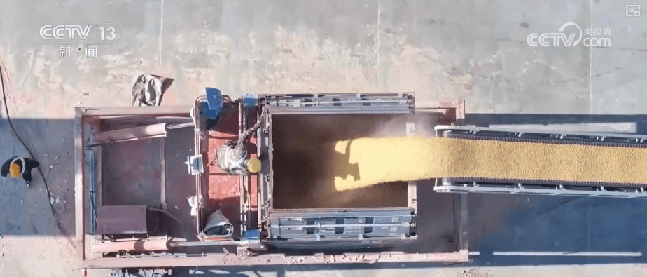 揭秘粮食运输背后的‘智慧之手’