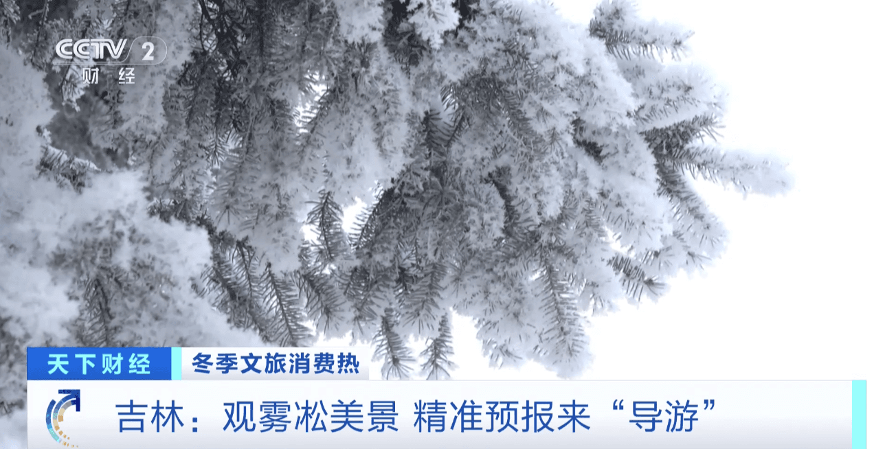 吉林市发明“雾凇打分系统”：让你不仅看得见，还能算得清