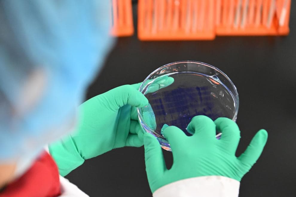 揭秘新版医保药品目录：让你笑着哭的 " 利好 "