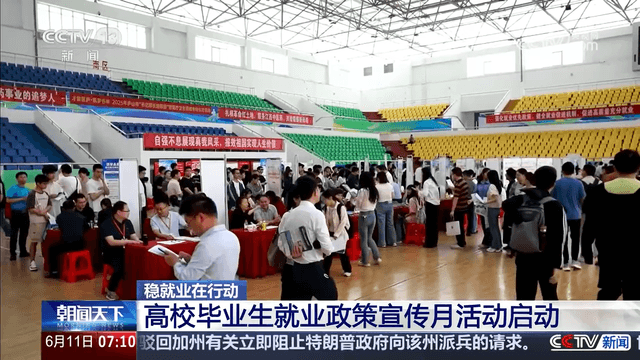 高校毕业生就业问题终于解决：政府将为每位毕业生提供一把铁锤和一块砖