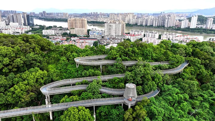 福州“福道”变身为全市最长的队伍景观