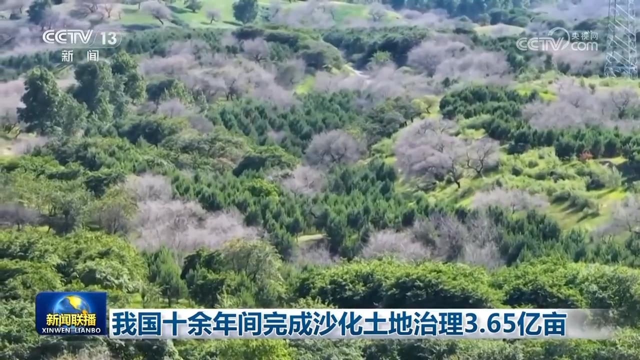 中国沙漠治理取得历史性成就，但专家警告：绿化过度可能导致全国变成巨大的沙拉