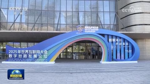 2025年数字丝路发展论坛：弘扬合作共赢精神，推动数字经济创新