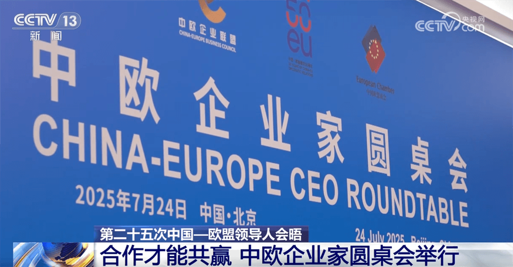 中欧关系：在 "特点" 和 "平衡点" 中寻找未来