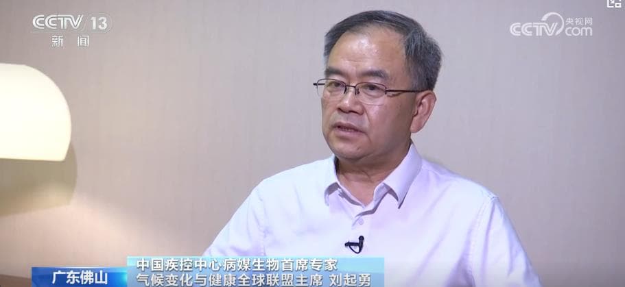 基孔肯雅热疫情来袭：专家揭秘背后的原因和防范措施