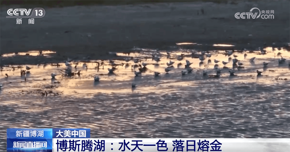 夏日经济学：如何让暑期变成一场精彩的消费盛典