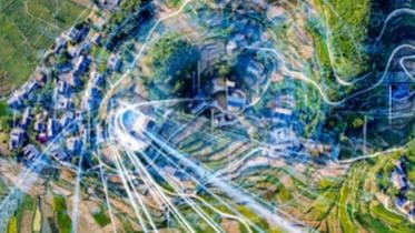  林业部署宽带林草计划：未来森林将变身为“5G先锋区”