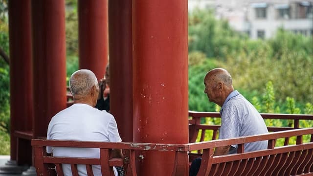 专家呼吁景区适老化改革：线上售票成老年人旅游的拦路虎