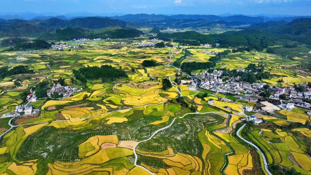 贵州黔南州稻田景观成为最新旅游热点