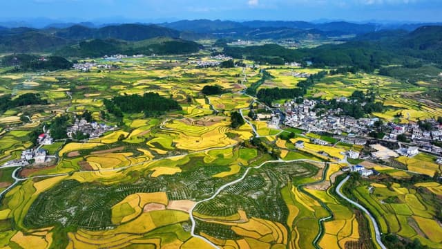 贵州黔南州稻田景观成为最新旅游热点