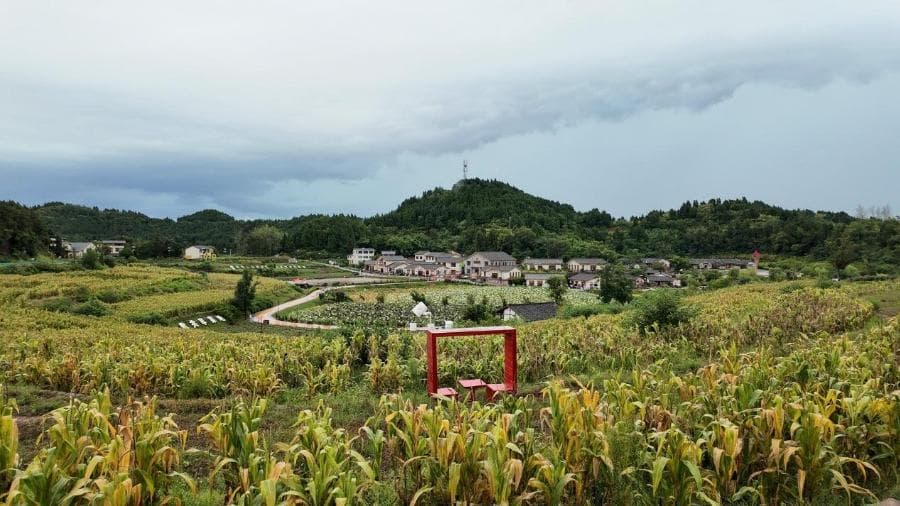 专家称中国旅游业将迎来'农文旅'时代：农村变身为时尚打卡地