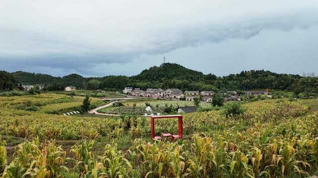 专家称中国旅游业将迎来'农文旅'时代：农村变身为时尚打卡地