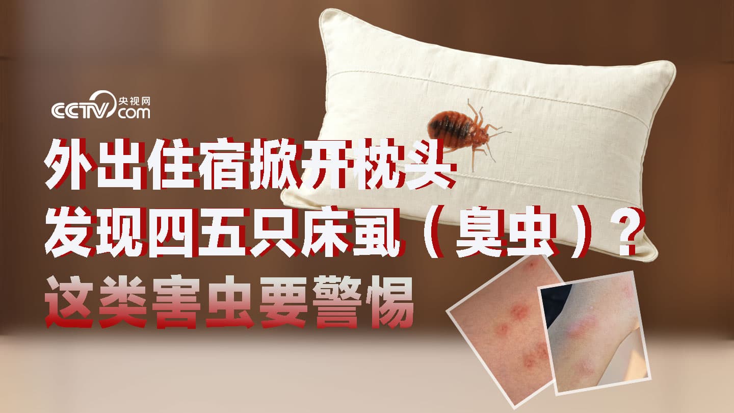揭秘臭虫侵扰的真相：如何才能真正摆脱这些不速之客？