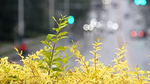 专家称气候变化导致北方降温南方升温现象愈发明显